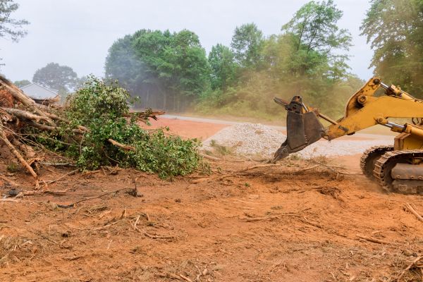 Ground Clearing in Poughkeepsie