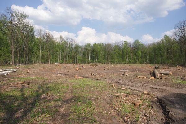 Cost of Pasture Clearing in Poughkeepsie