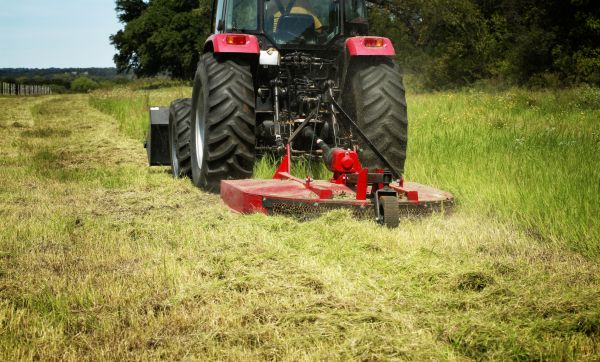 Brush Clearing Service in Poughkeepsie