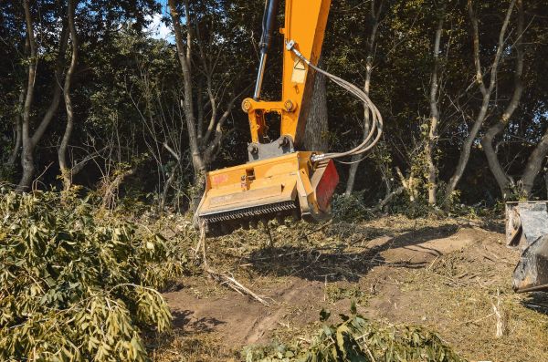 Brush Removal Service in Poughkeepsie