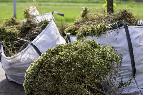Bushes Clearing in Poughkeepsie