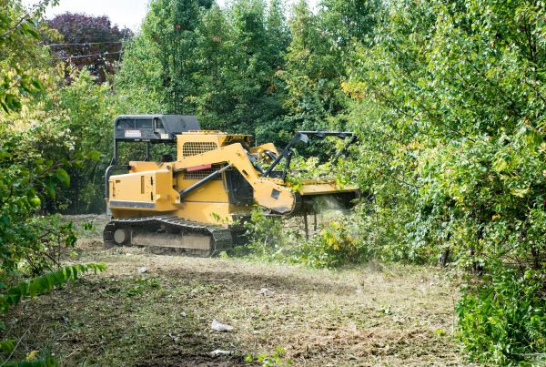 Cost of Pathway Clearing in Poughkeepsie