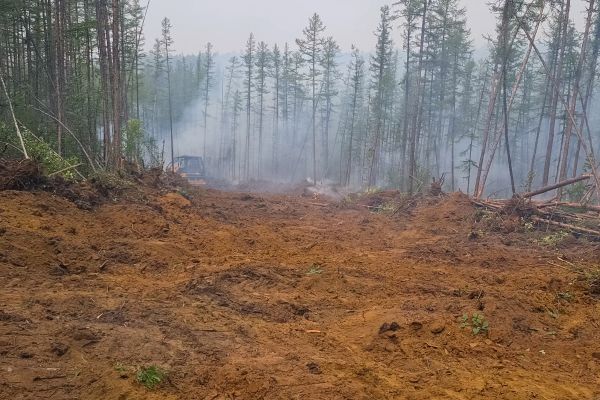 Cost of Hill Clearing in Poughkeepsie