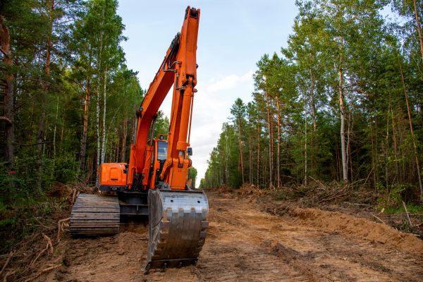 Cost of Backhoe Land Clearing in Poughkeepsie