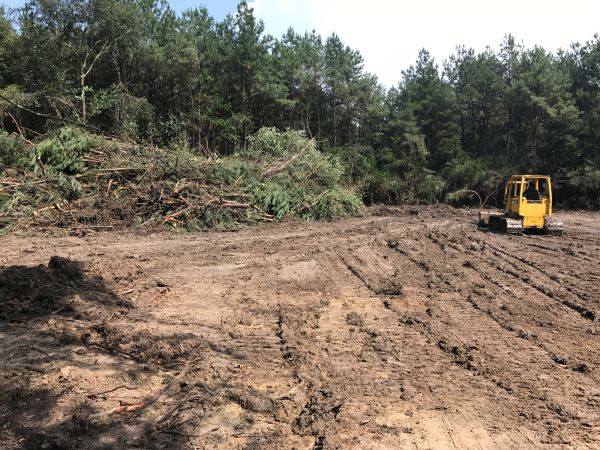 Cost of Thicket Clearing in Poughkeepsie