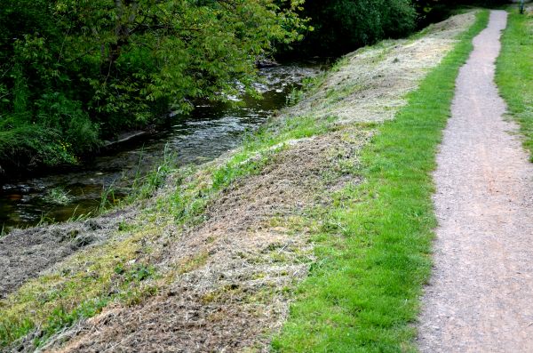 Cost of Trail Cutting in Poughkeepsie